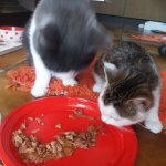 Doreen mit Shian.jpg