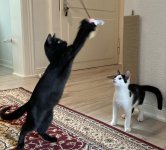 17E3896E-25CE-45CD-B75A-862BCB3F1D55.jpeg