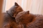 IMG_7044k.jpg