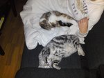DSC00572.jpg