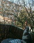 balkon.jpg