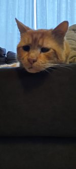 258515911_338793288012364_5471294582134125764_n.jpeg