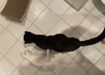 58E7289B-0387-45EC-8F02-5A331B04988A.jpeg