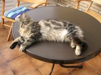 DSCN1676.JPG