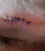 20220122_130624.jpg