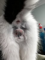 IMG_0486.jpeg