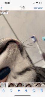 757C5927-1BE4-4B13-939B-E55AC649DF49.jpeg