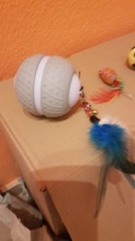 20220129_131251.jpg 20220129_131251.jpg