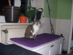 100_4518.jpg