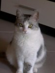 bonnie (1).jpg