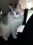 130420101050.jpg