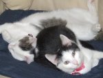 Minnie & Nicky2.JPG