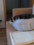 16042011041.jpg
