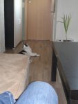 15042011039.jpg