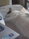 16042011043.jpg