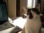 16042011044.jpg