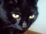 DSC00117.jpg