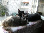 BILD3034.jpg