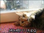 bild0027.th.jpg