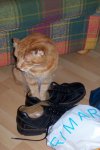100_2711.jpg