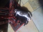 Babies 006.jpg
