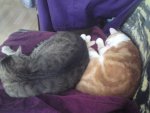 DSC04231.jpg