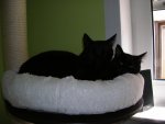 DSCN2532.jpg