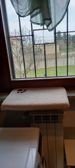 20220331_175129.jpg