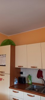 20220331_175031.jpg