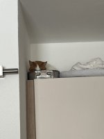 thumbnail_IMG_0915.jpg
