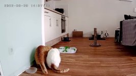 thumbnail_ppsc6298eaddea9b4d24-20220329140749860.jpg