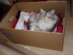 DSC03648.jpg