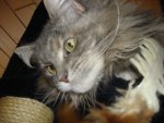 DSC03644 Kopie.jpg