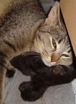Fotos52011 378a.jpg