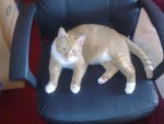 20110410 170148.jpg