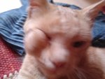 2011-06-03 10.27.05.jpg