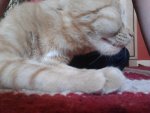2011-06-03 10.28.48.jpg