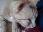 2011-06-03 10.29.06.jpg
