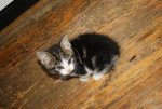 IMG_3579 - Kopie.JPG IMG_3579 - Kopie.JPG