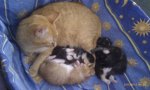 IMAG0683.jpg