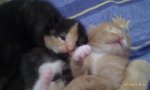 IMAG0689.jpg