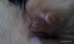 IMAG0701.jpg