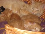 070511_Finn_und_Leni.jpg