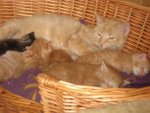 110507_Finn_und_Leni_2.jpg