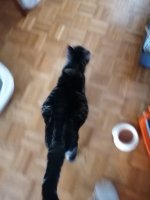Cindy Foto Bauch 220422.jpeg