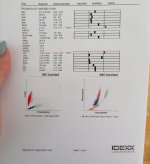 Blubild S. 1 Cindy 210422.jpeg