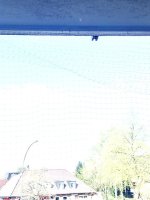 ED3AA199-B641-4561-81D7-1BA4ACE102F5.jpeg
