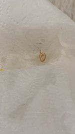9543828A-F3DD-440F-BAA1-535479E08E3B.jpeg