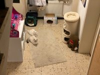 IMG_0073.jpeg