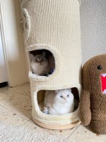 IMG_2983.jpeg